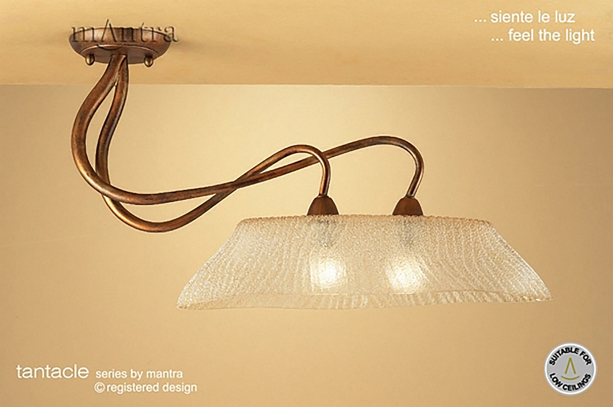 Tentacle Ceiling Lights Mantra Traditional Ceiling Lights Tentacle Ceiling Lights Mantra Traditional Ceiling Lights